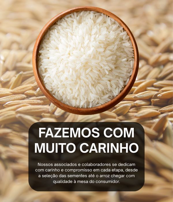 Site Mobile - 700x600 (1)