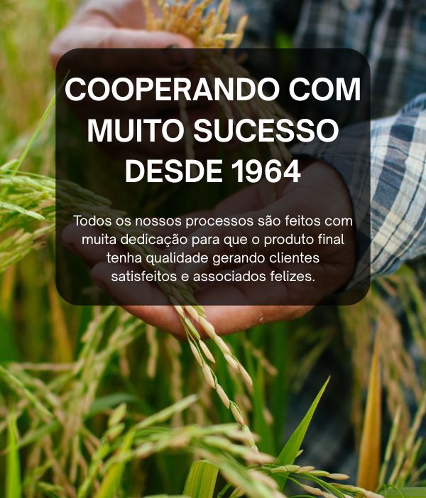 Site Mobile - 700x600 (2)
